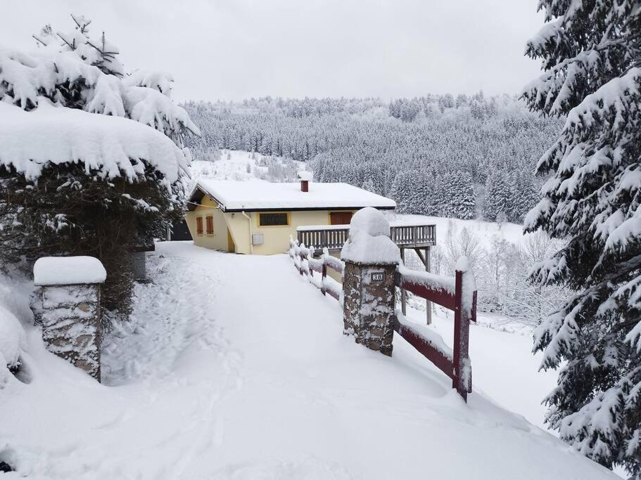 Maison De Montagne Vue Magnifique Ventron Exterior photo
